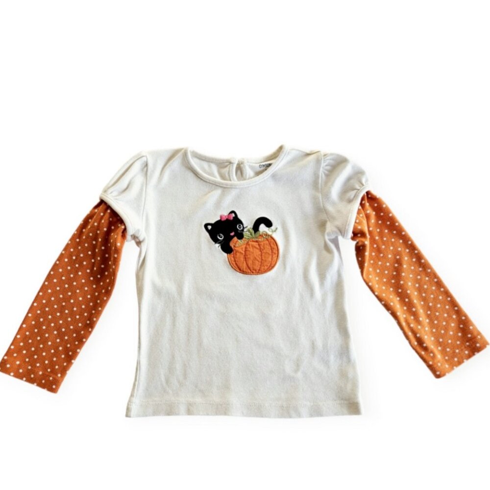 Gymboree Fall Embroidered Layered Top